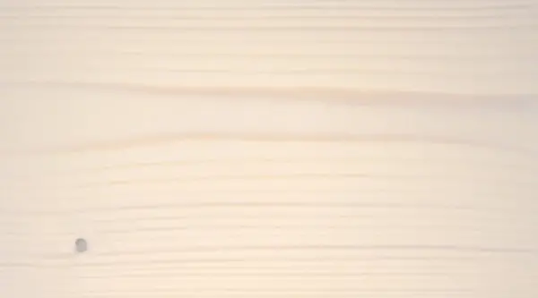 Trend Slonovaya Kost