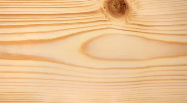 Antisepticprimer Bescvetnoe