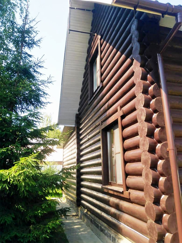 Пример окраски